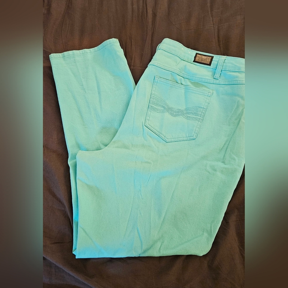 Earl Jeans Women's Straight Leg in Aqua